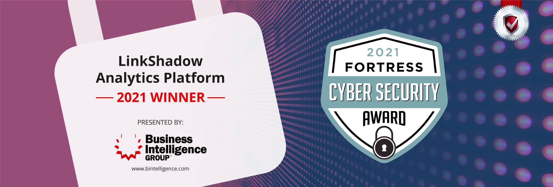 Fortress CyberSecurity Award 2021